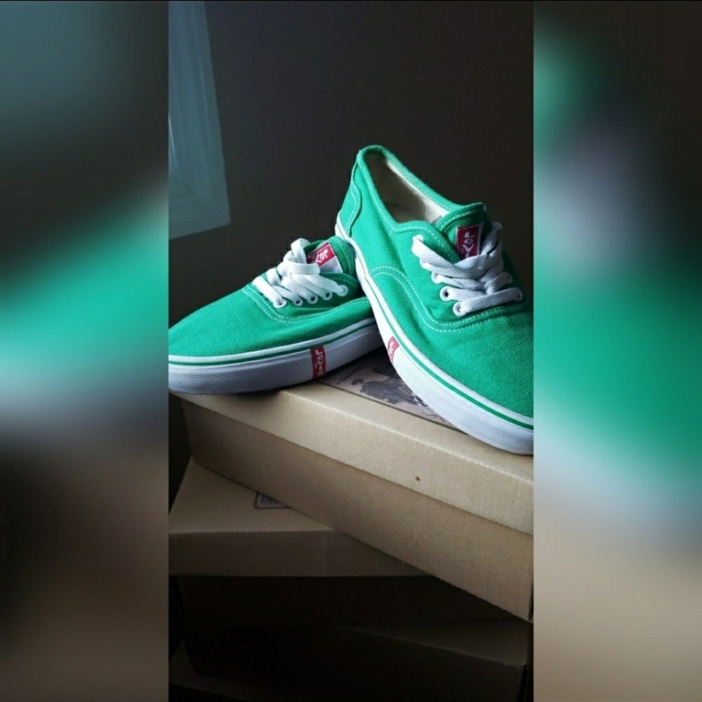 Levi's Canvas Shoes
